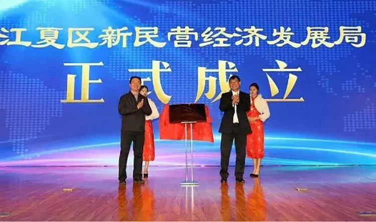 江夏區(qū)新民營(yíng)經(jīng)濟(jì)發(fā)展大會(huì)03.jpg